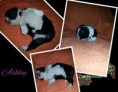 /album/ashley/a20150929-115027-fotor-collage-fotor-jpg/