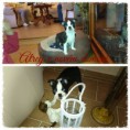 /album/atrey/atrey-fotor-collage-fotor-jpg/