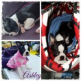 /album/ashley/a20151213-134322-fotor-collage-fotor-jpg/